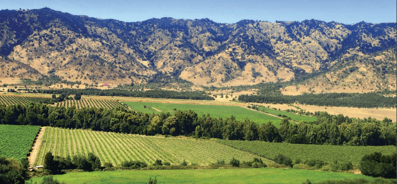 François Lurton, Hacienda Araucano Vineyard